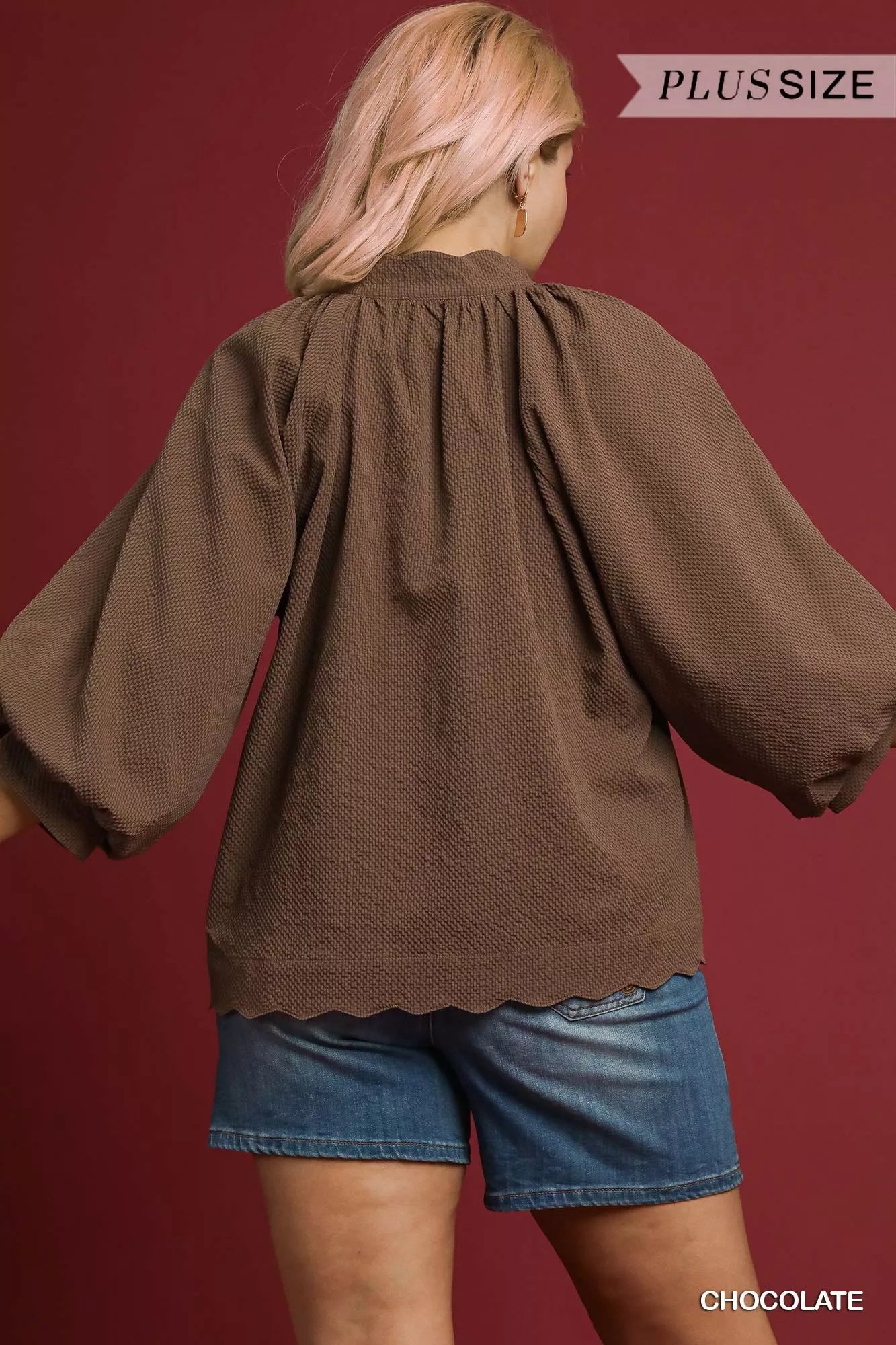 Textured Notched Balloon Sleeve Blouse – Chic & Feminine Top