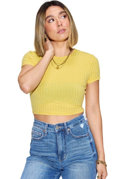 Basic Bae Ribbed Texture Casual Short Sleeve Top